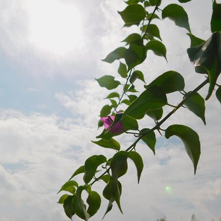 Apartment Lejo เยเซนิเซ ภายนอก รูปภาพ